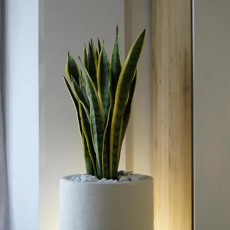 Casa Di Noah * باري